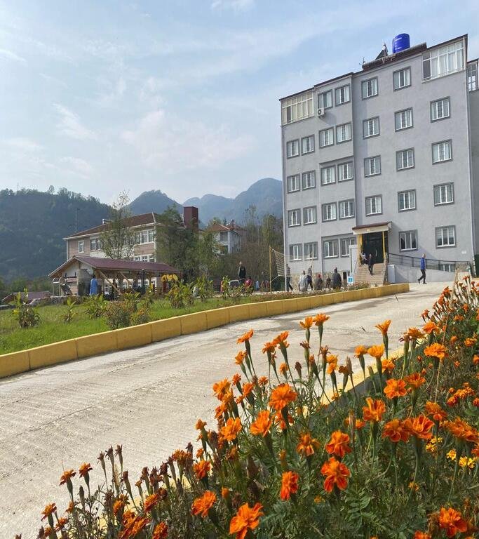 Doğanın Engelli Bireyler Üzerinde Etkisi